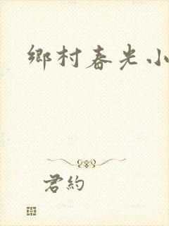 乡村春光小说