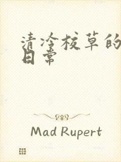 清冷校草的抹布日常