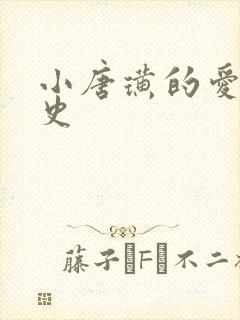 小唐璜的爱情历史