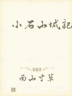小石山城记