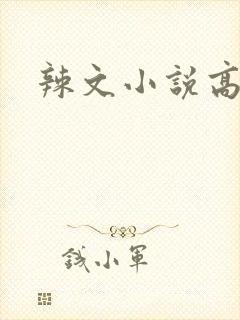 辣文小说高h