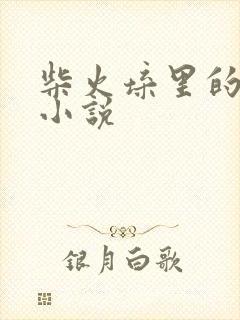 柴火垛里的疯狂小说