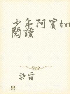 少年阿宾txt阅读