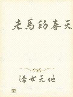 老马的春天敏静
