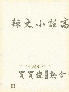 辣文小说高h