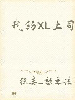 我的XL上司