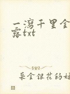 一泻千里金银花露txt