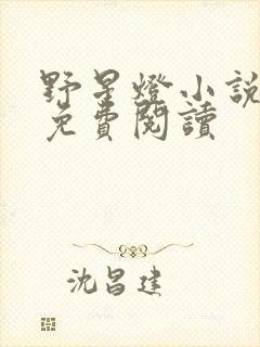 野星灯小说全文免费阅读