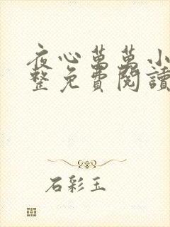 夜心万万小说完整免费阅读全文