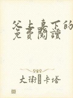 父上妻下的小说免费阅读