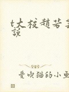 t大校赵若芸小说