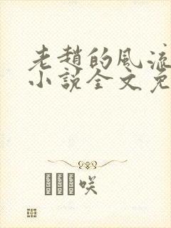 老赵的风流人生小说全文免费阅读