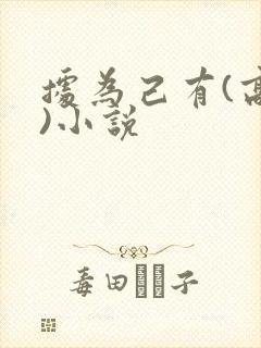 据为己有(高干)小说