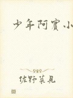 少年阿宾小说