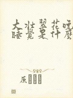 大壮翠花晚上不睡觉是什么电视剧