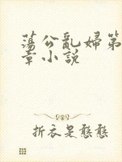 荡公乱妇第51章小说