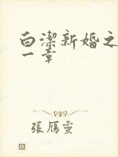 白洁新婚之夜第一章