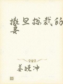 撒旦总裁的下堂妻