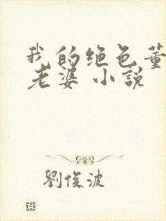 我的绝色董事长老婆 小说