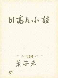 bl高h小说