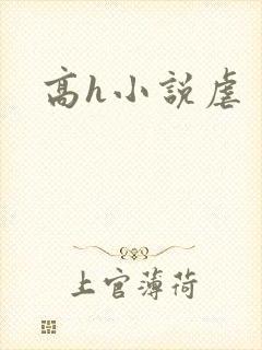高h小说虐