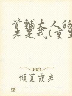 首辅大人的白月光是我(重生)