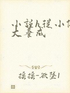 小说h从小做到大养成