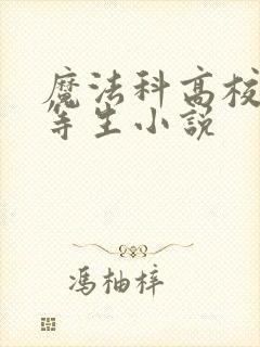 魔法科高校的劣等生小说