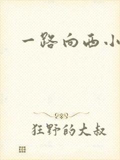一路向西小说