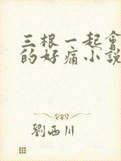 三根一起会坏掉的好痛小说