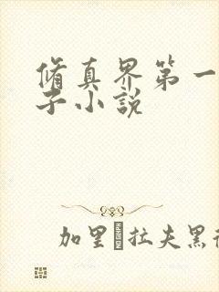 修真界第一病秧子小说