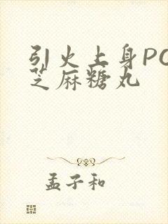 引火上身POP芝麻糖丸