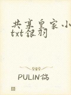 共享皇家小公主txt银羽