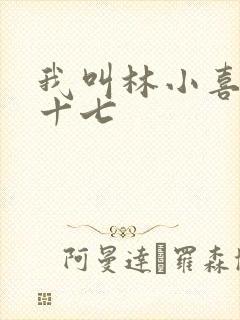 我叫林小喜今年十七