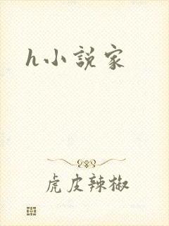 h小说家