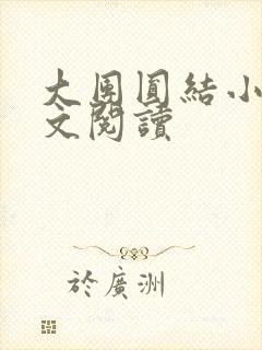 大团圆结小茹全文阅读