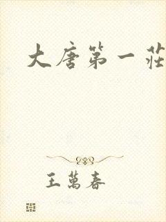 大唐第一庄