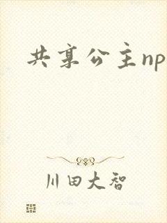 共享公主npc