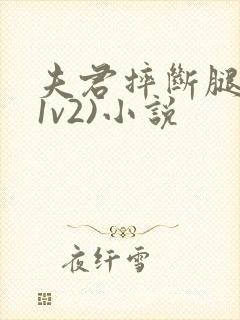 夫君摔断腿后(1v2)小说