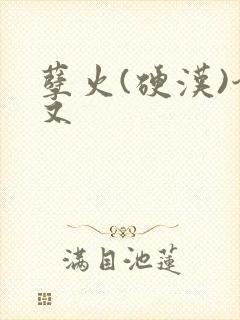 孽火(硬汉)今又