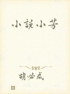 小说小芳