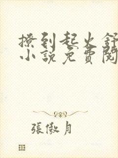 撩到起火舒漾的小说免费阅读全文