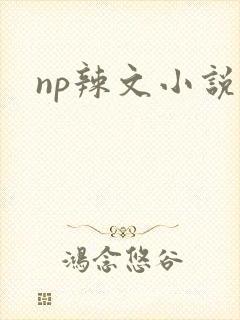 np辣文小说