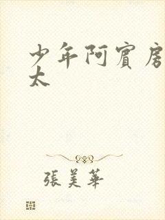 少年阿宾房东太太