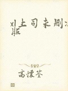 xl上司未删减版