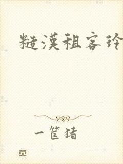 糙汉租客玲珑塔