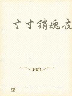 寸寸销魂夜春光