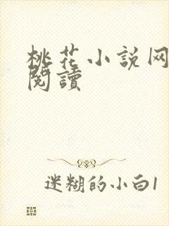 桃花小说网小说阅读