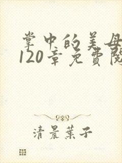 掌中的美母版主120章免费阅读