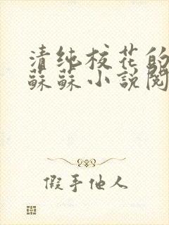 清纯校花的日常苏苏小说阅读全文